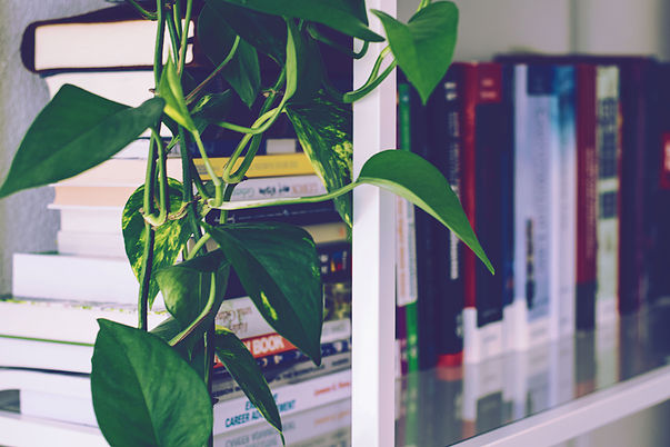 Book Shelf